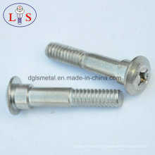 Ss 304 Step Screw Stainless Steel Screw